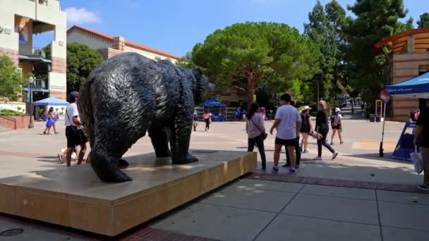 View Bronze Bruin Sculpture Ucla Campus Building Students Walking Sunny — Vídeo de Stock