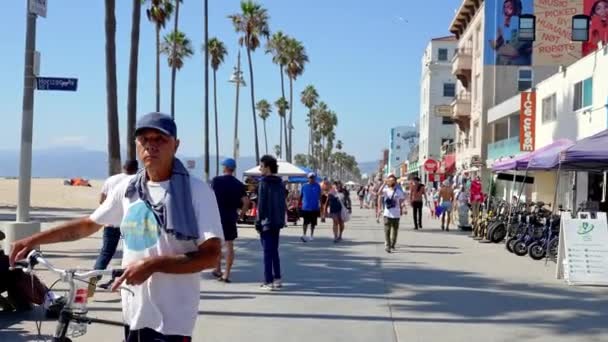 Tourists Walking Boardwalk Palm Trees Exploring Shops Venice Beach Warm — Stock video