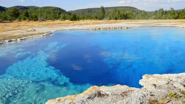 Beautiful View Hot Spring Pool Geothermal Landscape Geyser Basin Forest — Stock Video