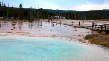 Kaplıca havuzunun güzel manzarası jeotermal manzara. Gayzer havzası ve orman. Yellowstone Ulusal Parkı 'nın ünlü turistik merkezi. Yellowstone Ulusal Parkı 'nda sıcak termal kaynak Siyah Havuz