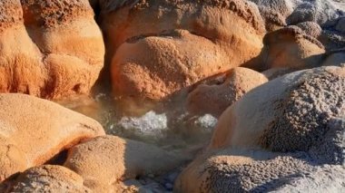 Kaplıca havuzunun güzel manzarası jeotermal manzara. Gayzer havzası ve orman. Yellowstone Ulusal Parkı 'nın ünlü turistik merkezi. Yellowstone Ulusal Parkı 'nda sıcak termal kaynak Siyah Havuz