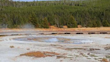 Kaplıca havuzunun güzel manzarası jeotermal manzara. Gayzer havzası ve orman. Yellowstone Ulusal Parkı 'nın ünlü turistik merkezi. Yellowstone Ulusal Parkı 'nda sıcak termal kaynak Siyah Havuz