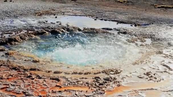 Kaplıca Havuzunun Güzel Manzarası Jeotermal Manzara Gayzer Havzası Orman Yellowstone — Stok video