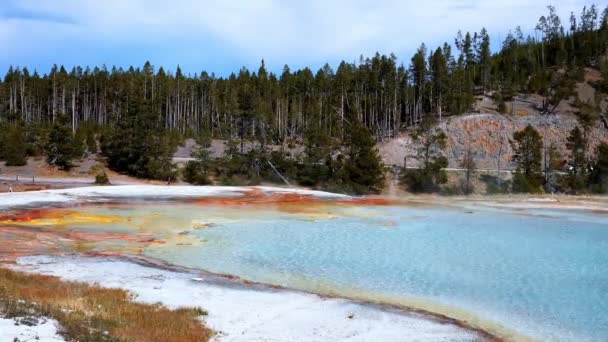 Beautiful View Hot Spring Pool Geothermal Landscape Grand Prismatic Spring — Αρχείο Βίντεο