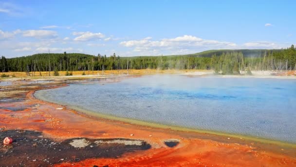 Beautiful View Hot Spring Pool Geothermal Landscape Geyser Basin Forest — Stock video