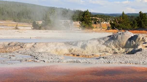 Beautiful View Hot Spring Pool Geothermal Landscape Geyser Basin Forest — Video