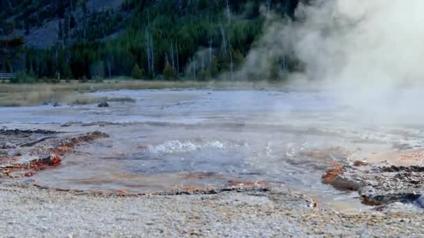 Kaplıca Havuzunun Güzel Manzarası Jeotermal Manzara Gayzer Havzası Orman Yellowstone — Stok video