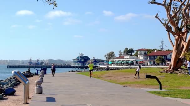Tourists Locals Walking Promenade Center Park San Diego Usa — Video