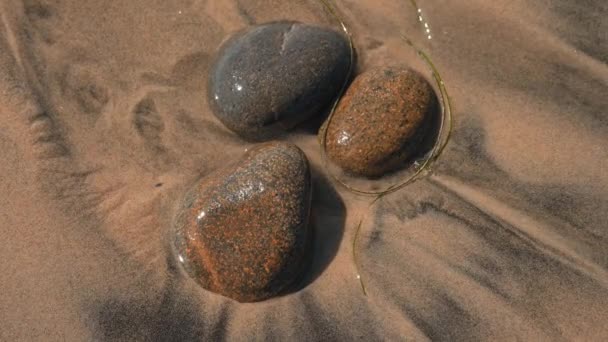 太平洋の波に洗われながら海岸に横たわるぬれた滑らかな岩 — ストック動画