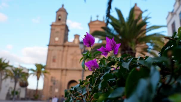 Paisagem Com Catedral Santa Ana Vegueta Las Palmas Gran Canaria — Vídeo de Stock