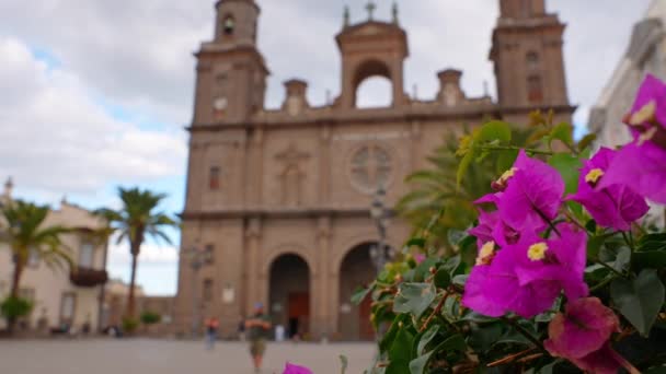Lanskap Dengan Katedral Santa Ana Vegueta Las Palmas Gran Canaria — Stok Video