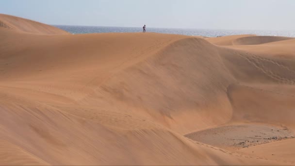 View Maspalomas Dunes Playa Del Ingles Maspalomas Gran Canaria Spain — Stockvideo