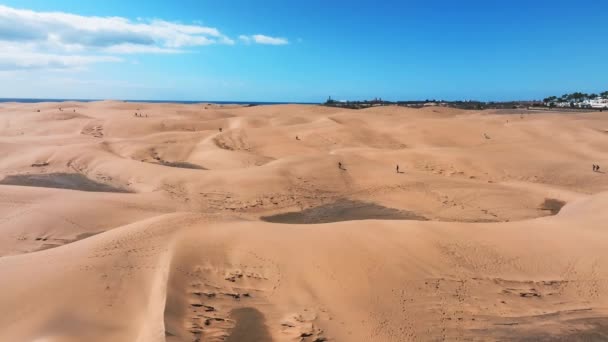 プラヤデルイングルスのマスパロマス砂丘のパノラマ航空シーン マスパロマス グランカナリア スペイン 砂漠の砂だ 魔法のサファリ砂丘 — ストック動画