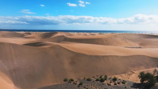 Panoramic Aerial Scene Maspalomas Dunes Playa Del Ingles Maspalomas Gran — Stock Video