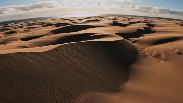 Empty Quarter Desert Dunes Liwa Abu Dhabi United Arab Emirates — Video Stock