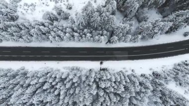 Forest in snow. Snowy forest road. Forest road from above. Aerial view of the winter curvy mountain road through the forest.