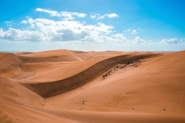 Picturesque View Maspalomas Sand Dunes Desert Bright Sunny Day Sea — Stock Photo, Image
