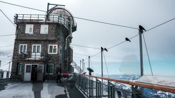Včas Pozorovací Paluby Sfingy Observatoře Nachází Jungfraujoch Švýcarsku — Stock video