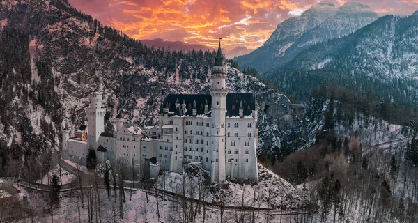 Ilmakuva Neuschwansteinin Linnasta Tai Schloss Neuschwansteinista Talvipäivänä Vuoret Puut Ympäröivät — kuvapankkivalokuva