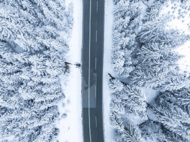 Forest in snow. Snowy forest road. Forest road from above. Aerial view of the winter curvy mountain road through the forest.