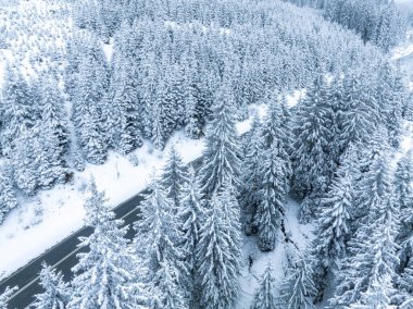 Forest in snow. Snowy forest road. Forest road from above. Aerial view of the winter curvy mountain road through the forest.