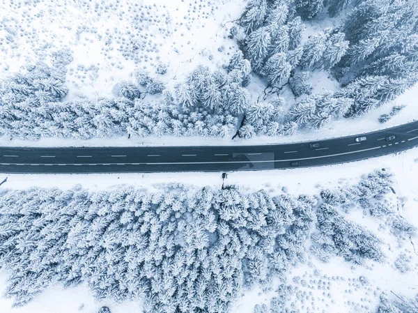 Forest Snow Snowy Forest Road Forest Road Aerial View Winter — Stock Fotó