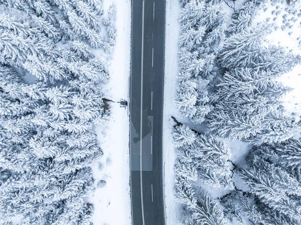 Erdőben Havas Erdei Erdei Fentről Légi Kilátás Téli Kanyargós Hegyi — Stock Fotó