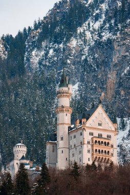 Neuschwanstein Kalesi 'nin ya da Schloss Neuschwanstein' in güzel manzarası, bir kış günü, etrafını karla kaplayan dağlar ve ağaçlarla kaplı..