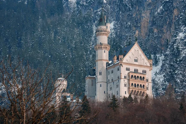 Hermosa Vista Del Castillo Neuschwanstein Schloss Neuschwanstein Día Invierno Con —  Fotos de Stock