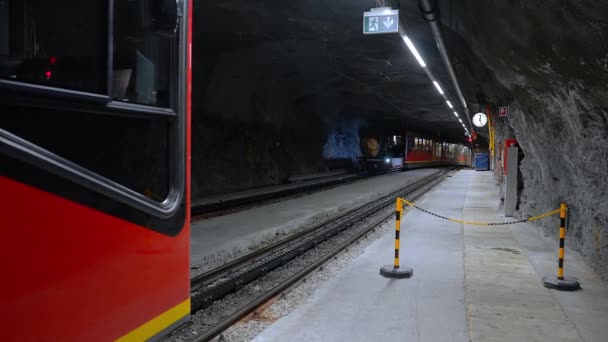 Spaziergänger Bahnhof Jungfraujoch Top Europe Den Schweizer Alpen Menschenmenge Höchsten — Stockvideo