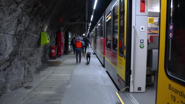 Spaziergänger Bahnhof Jungfraujoch Top Europe Den Schweizer Alpen Menschenmenge Höchsten — Stockvideo