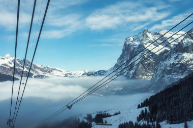 Ormanda yetişen çam ağaçlarının üzerindeki kablolar kar manzaralı dağlar ve gökyüzü arkaplanlı Jungfrau, İsviçre, kış tatili ve doğa konsepti.