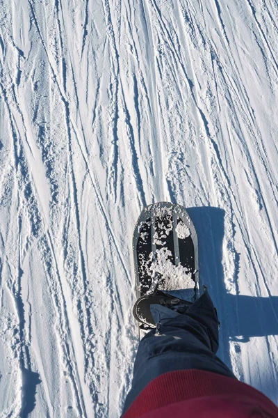 Laag Deel Van Alpineskiër Draagt Laarzen Met Ski Besneeuwd Land — Stockfoto