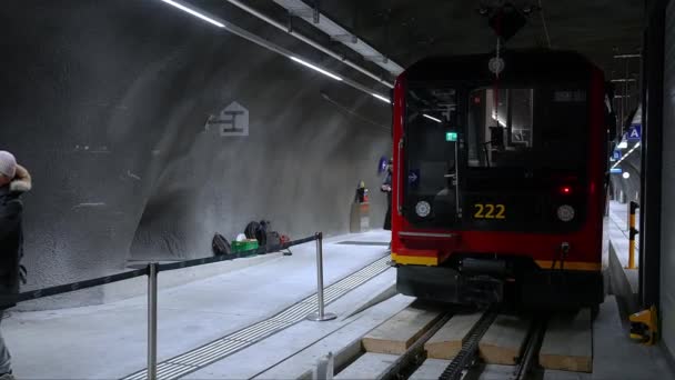 Pessoas Caminhando Estação Ferroviária Jungfraujoch Top Europe Alpes Suíços Uma — Vídeo de Stock