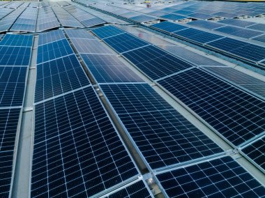 Solar Hücre Tarım Santrali 'nin yakın çekim eko teknolojisi. Bir fotovoltaik güç santralindeki güneş pili panellerinin peyzajı. Sürdürülebilir kaynaklar ve yenilenebilir enerji kavramı. Mavi ton.