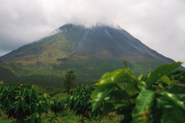 Volcan Arenal manzara günbatımı sırasında Monteverde alanından, Kosta Rika görüldüğü gibi hakim.