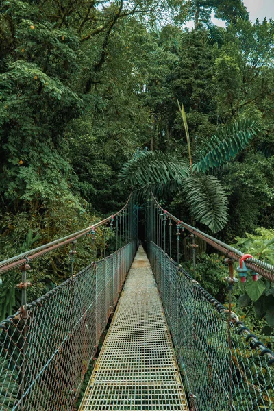 Висячие Мосты Облачном Лесу Монтеверде Коста Рика Подвесной Мост Тропическом — стоковое фото