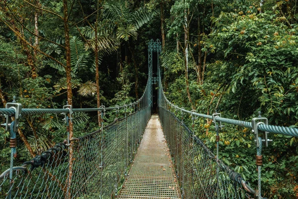 Hängande Broar Molnskogen Monteverde Costa Rica Upphängningsbro Tropisk Regnskog — Stockfoto