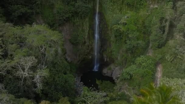 Водоспад Фортуна Коста Риці Водоспад Розташований Річці Аренал Біля Підніжжя — стокове відео