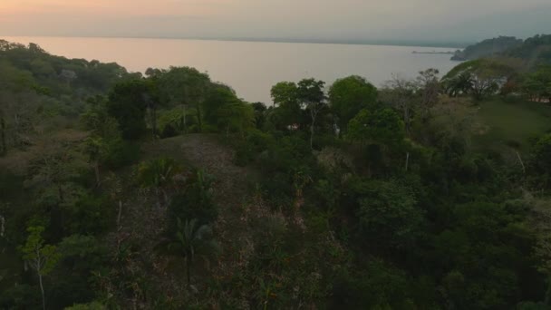 ウェハーズ湾ココス島コスタリカを見下ろす 空中ドローンコスタリカの緑豊かなジャングルを持つ熱帯の島の眺め — ストック動画