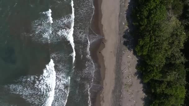 Karibiska Havet Ena Sidan Byn Tortuguero Inne Djungeln Mitten Och — Stockvideo