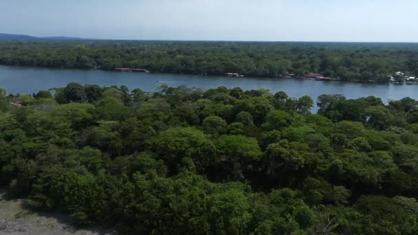 Morze Karaibskie Jednej Stronie Wioska Tortuguero Środku Dżungli Ogromna Rzeka — Wideo stockowe