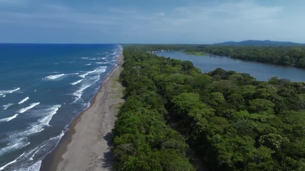 Mar Caribe Lado Aldeia Tortuguero Dentro Selva Meio Enorme Rio — Vídeo de Stock