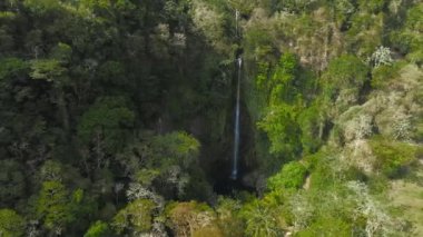 Kosta Rika 'daki La Fortuna Şelalesi. Şelale, Arenal Nehri 'nde, Chato yanardağının eteklerinde yer almaktadır..