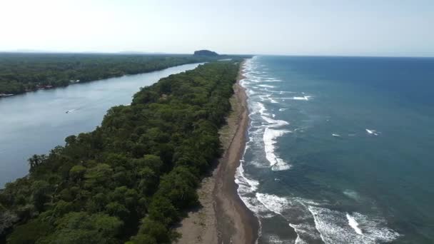 Mar Caribe Por Lado Pueblo Tortuguero Dentro Selva Medio Enorme — Vídeos de Stock