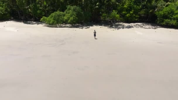 Kosta Rika Daki Manuel Antonio Ulusal Parkı Nın Havadan Görünüşü — Stok video