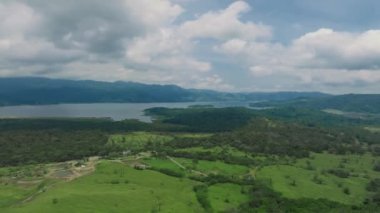 Kosta Rika 'nın muhteşem doğa manzarası. Kosta Rika 'da kasvetli bir günde, yağmur ormanlarında büyüyen yeşil ağaçlar.