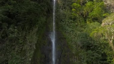 Kosta Rika 'daki La Fortuna Şelalesi. Şelale, Arenal Nehri 'nde, Chato yanardağının eteklerinde yer almaktadır..