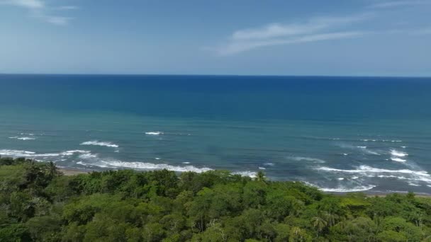 Mar Caribe Por Lado Pueblo Tortuguero Dentro Selva Medio Enorme — Vídeos de Stock