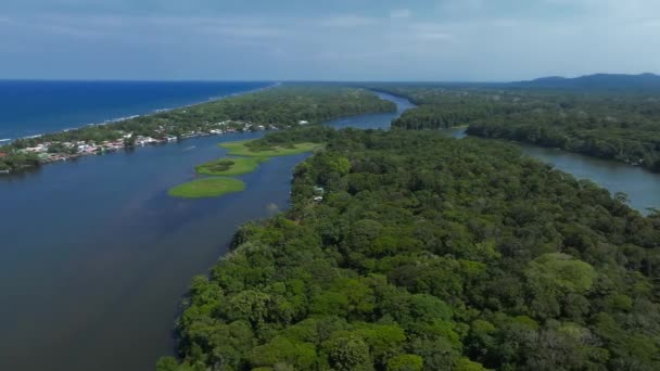 Karibské Moře Jedné Straně Vesnice Torsee Džungli Uprostřed Obrovská Řeka — Stock video